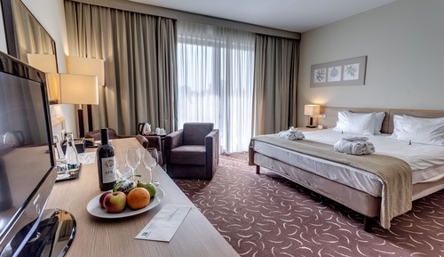 Habitación estándar, 1 cama de matrimonio grande