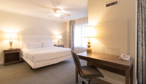 Estudio, 1 cama de matrimonio grande con sofá cama (Mobility & Hearing, Roll-in Shower)