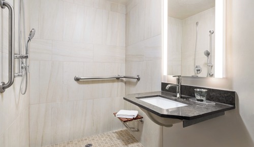 Suite estudio, 1 cama de matrimonio, accesible para personas con discapacidad (Roll-In Shower)