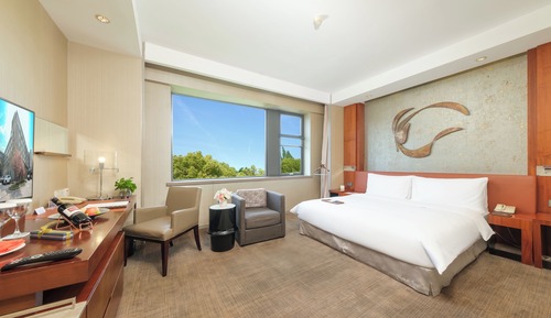 Habitación Premier