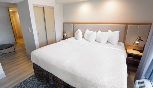 Suite ejecutiva, 1 cama de matrimonio grande con sofá cama (Hearing Accessible)