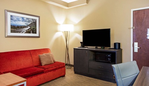 Suite Deluxe, 1 habitación, accesible para personas con discapacidad, no fumadores (Mobility)