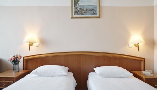 Standard Double or Twin Room with Street View