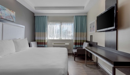 Habitación estándar, 1 cama de matrimonio grande, accesible para personas con discapacidad