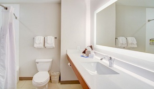 Habitación estándar, 1 cama de matrimonio grande (Communications, Roll-In Shower)