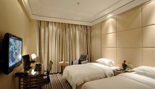 Habitación Deluxe con 2 camas individuales