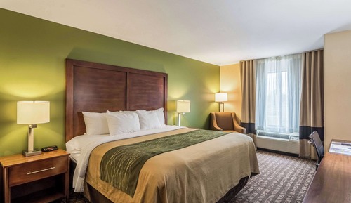 Habitación estándar, 1 cama de matrimonio grande, no fumadores