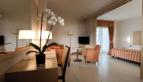 Suite junior, balcón, vistas al jardín