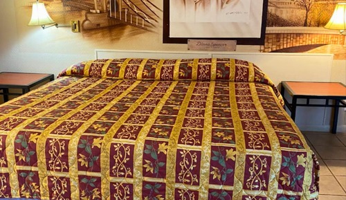 Habitación individual estándar, 1 cama de matrimonio grande, no fumadores, frigorífico y microondas