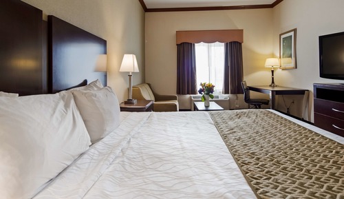 Habitación estándar, 1 cama de matrimonio grande, no fumadores, microondas