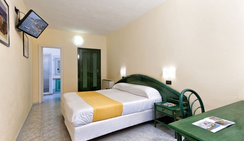Habitación ejecutiva con 1 cama doble o 2 individuales (with access to Thermal Park)