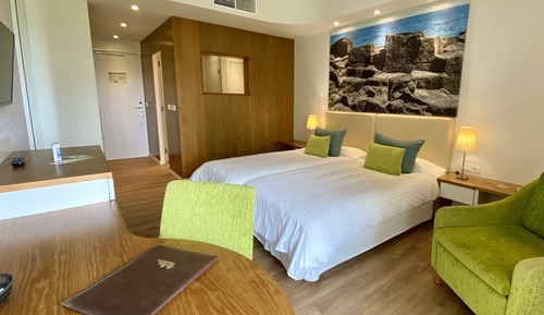 Habitación Twin, vistas jardín (lado Taoro, 1 adulto)