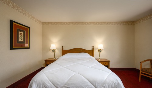 Habitación estándar, 1 cama de matrimonio