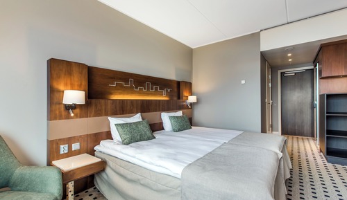 Habitación estándar, 1 cama doble, no fumadores