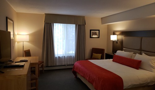 Estudio Confort, 1 cama de matrimonio grande