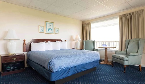 Habitación básica, 1 cama de matrimonio grande