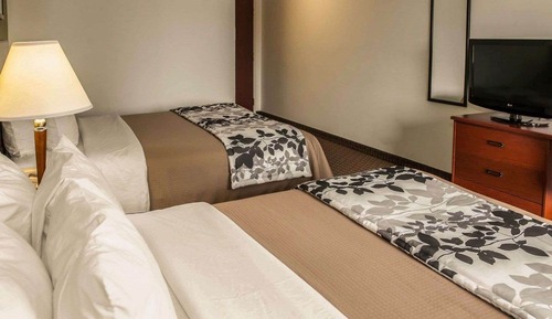 Habitación estándar, 2 camas de matrimonio, no fumadores