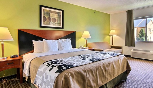 Habitación estándar, 1 cama de matrimonio grande con sofá cama, no fumadores