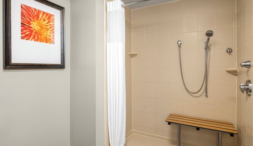 Suite, 1 habitación, ducha adaptada, cocina (Comm, Roll-In Shower)