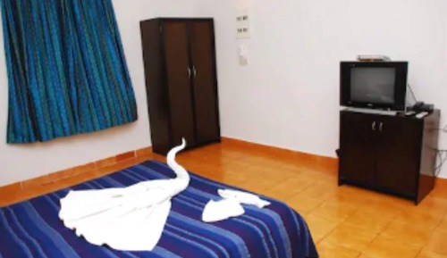 Habitación estándar, vistas al jardín ( A/C )