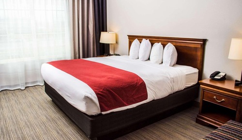 Suite estudio, 1 cama de matrimonio grande, no fumadores (Pet Friendly)