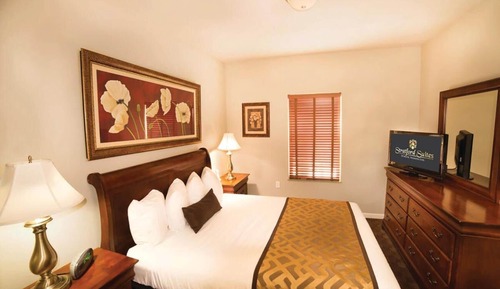 Suite de lujo, 1 habitación