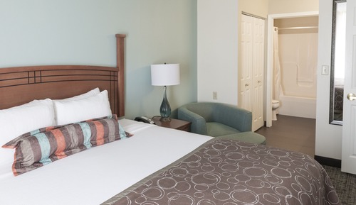 Suite estudio, 1 cama de matrimonio, accesible para personas con discapacidad, cocina (Comm)