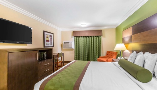 Habitación estándar, 1 cama de matrimonio grande, no fumadores