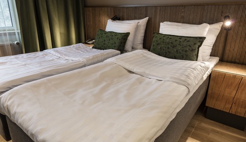 Habitación estándar con 2 camas individuales