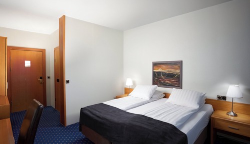 Habitación estándar con 1 cama doble o 2 individuales