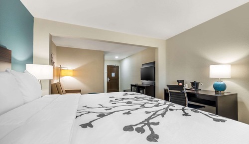 Suite, 1 cama de matrimonio grande con sofá cama, no fumadores
