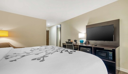 Habitación estándar, 1 cama de matrimonio grande, no fumadores