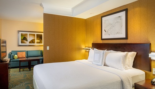 Estudio, 1 cama de matrimonio grande con sofá cama (Mobility/Hearing Access, Roll-In Shwr)
