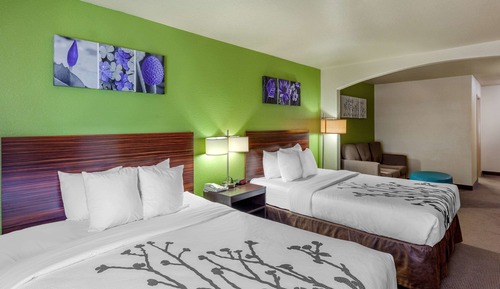 Suite (2 Queen Bed with sofa bed)