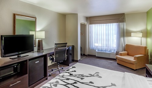 Habitación estándar, 1 cama de matrimonio grande, no fumadores