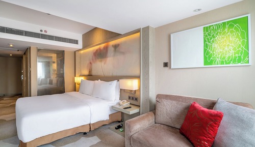 Habitación Premium, 1 cama de matrimonio grande