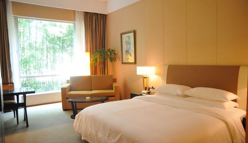 Habitación Business, vistas al jardín