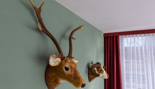 Habitación individual superior