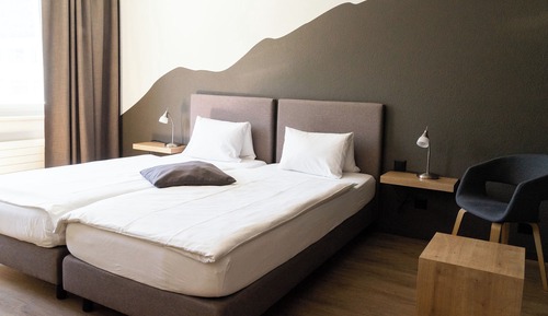 Habitación estándar (twin bed)