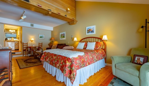 Suite Deluxe, baño privado (Clark - Pets Allowed)