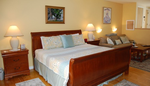 Suite superior, baño privado (Honeymoon - Pets Allowed)