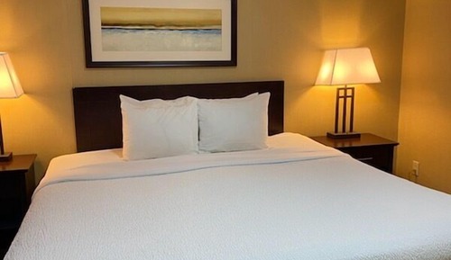 Suite básica, 1 cama de matrimonio grande