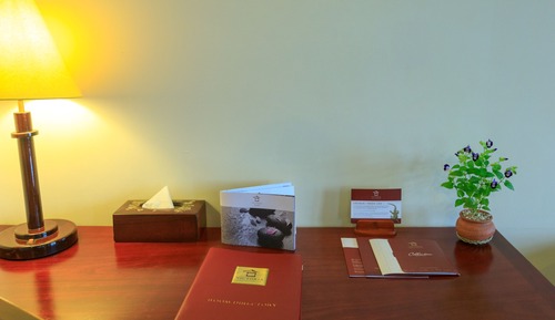 Habitación Deluxe doble, vistas al jardín