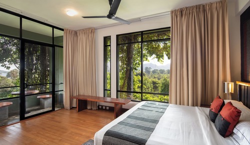 Suite estudio Signature