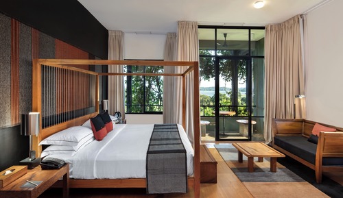 Suite estudio Royal