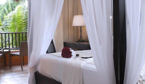 Privileged Romance