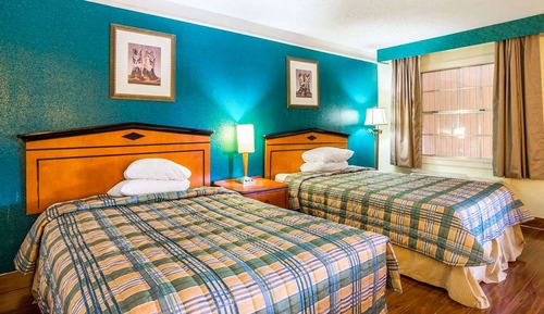 Suite, varias camas, fumadores, frigorífico y microondas