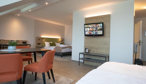 Estudio estándar, 1 cama doble (Larger Room;with Sofabed)