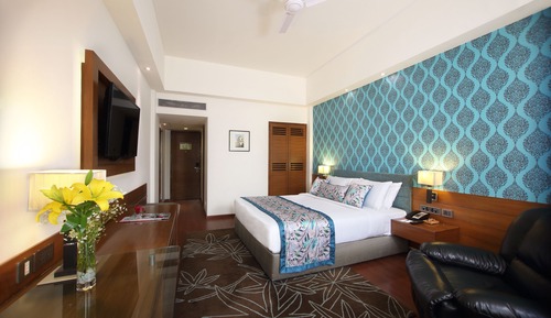 Habitación Premier doble