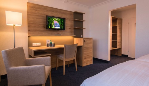 Habitación estándar doble, 1 cama doble
